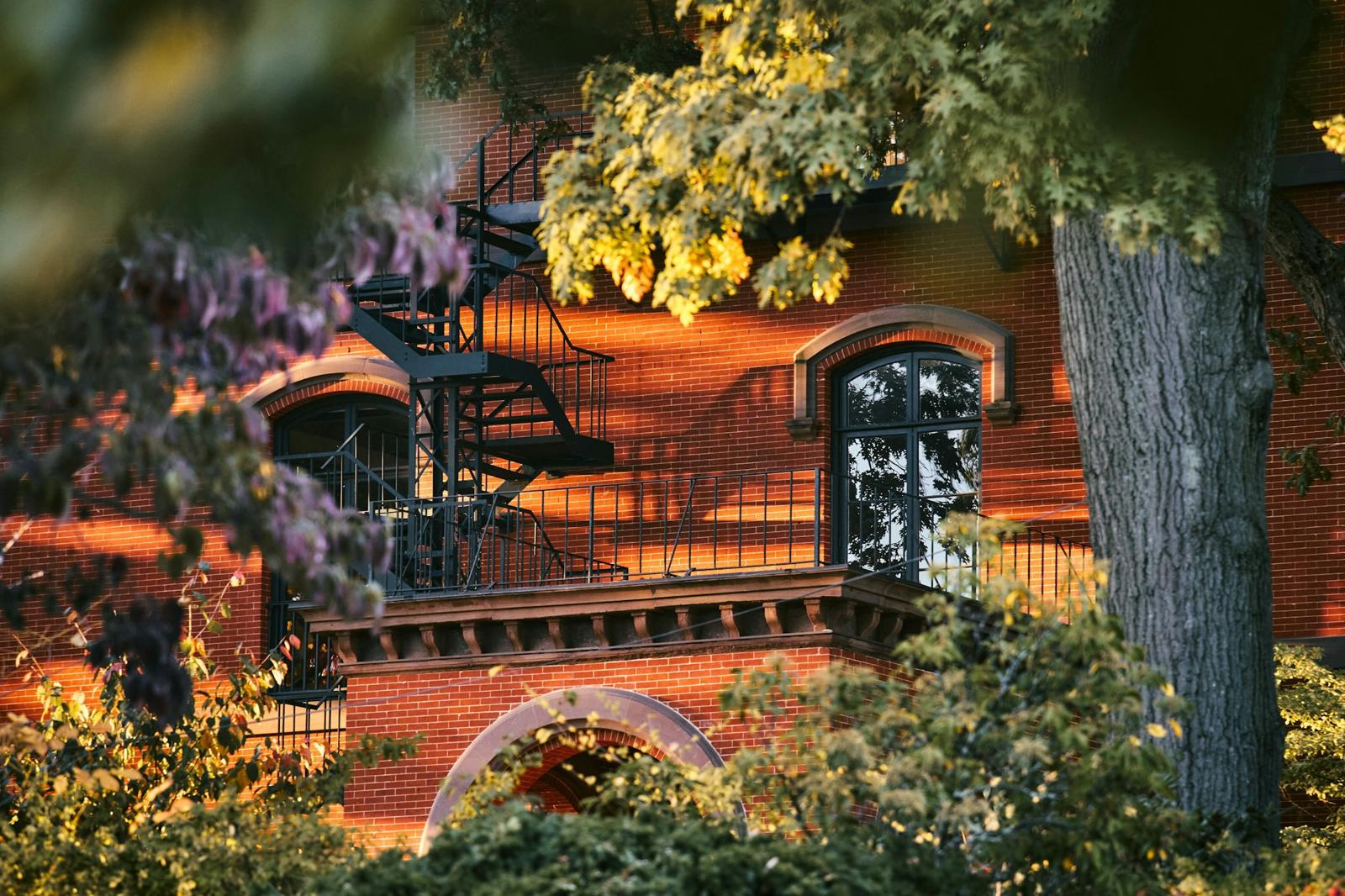 Brick apartment building with a fire escape, framed by trees